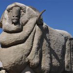 bigmerino